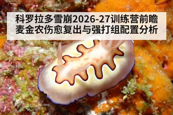 科罗拉多雪崩2026-27训练营前瞻 麦金农伤愈复出与强打组配置分析